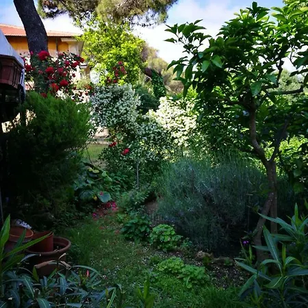 Casalmare *
